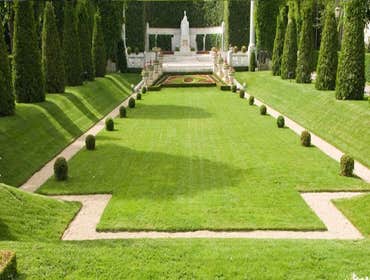 Artificial Grass AZ