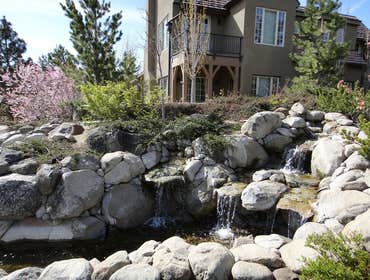 Photos from Millennium Gardens LLC