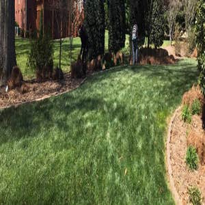 Photos by Morales Landscaping & Pinestraw Services #1