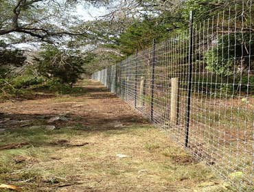 Fences