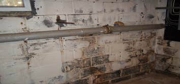 Photo(s) from Quest Air Mold Remediation Mold Removal