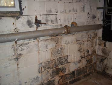 Photo(s) from Quest Air Mold Remediation Mold Removal