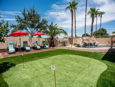 Photos by Tampa Turf Solutions #1