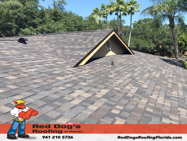Photos by Red dog's Roofing of Florida #1