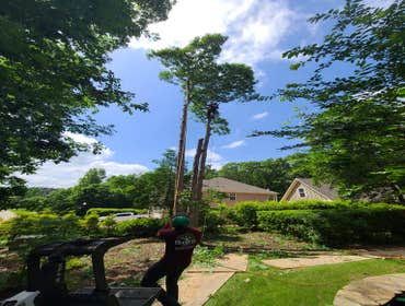 Photos by Soto Tree Services LLC #4
