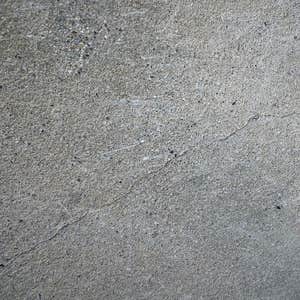 Photos by Neptune Masonry & Cement Cleaning #1