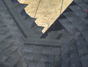 Photos by Alpha Construction #1
