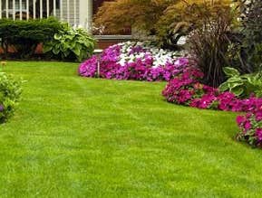 Photos by Elks Lawn Care & Landscaping #1