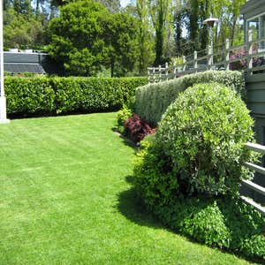 Frank Jaffe Landscape Services Project