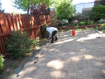 Justin Backyard Garden and Patio This client entertains a lot. He wanted a big patio and lots of visuals easily seen. The tree roots had to be a conce