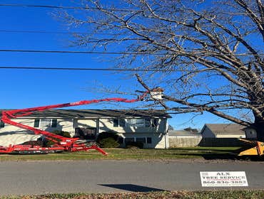Photos by ALX Tree Services LLC #1