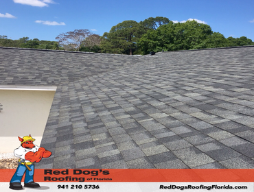 Photos by Red dog's Roofing of Florida #1