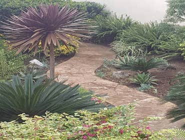 Photos from 3 Rivers Outscapes & Tree Service Inc