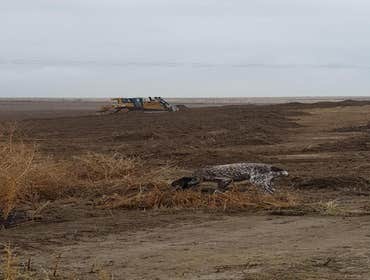 Photos by Harris Excavation #2