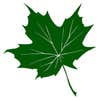 Urban Green Design Ltd logo
