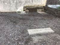 Demolition and Clean out - random photos