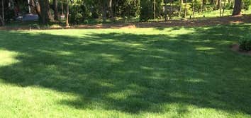 Photos by Morales Landscaping & Pinestraw Services #1