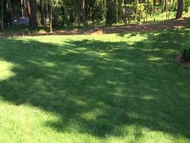 Photos by Morales Landscaping & Pinestraw Services #1