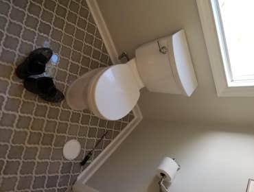 Roseland Bathroom Design Build