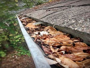 Photos by Panther City Gutter Solutions #1