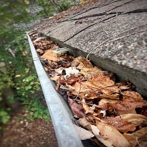 Photos by Panther City Gutter Solutions #1