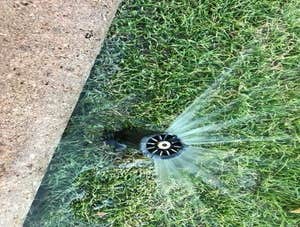 Photos by HS Irrigation and Landscape Lighting #1