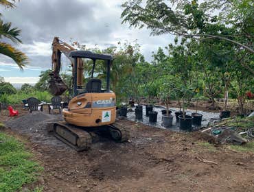Ornamental Plant Nursery Containerized/Fieldstock Trees & Machinery