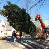 L. Jones Landscapes LLC