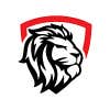 Lyons Demolition logo