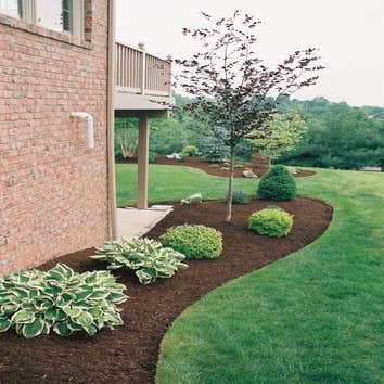 Dolans Outdoor Services
