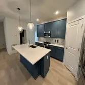 Cabinet painting/Refinishing