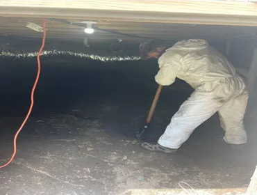 Photos by The Crawlspace Kings #1