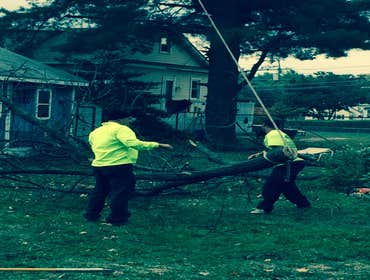 Tree Service South Jersey