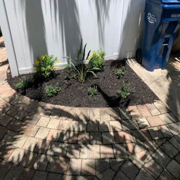 Photos by 941 Tree Services LLC #1