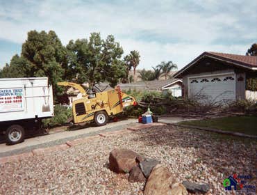 Photos by Estates Tree Service #1