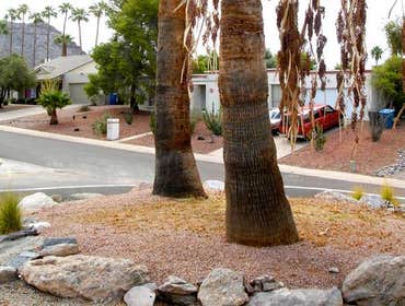 Photos from Element Design & Landscape LLC