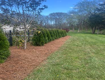 Photos by Blue Leaf Landscaping #15