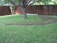 Photos by Texas Elite Foundations #1