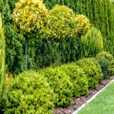 Photos by Edmonds Landscaping Pros #1