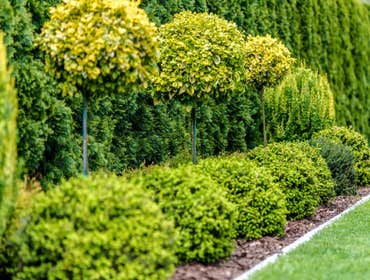 Photos by Edmonds Landscaping Pros #1