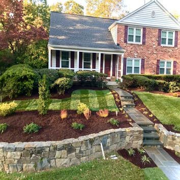 Photos by Wilfredo's Landscaping Services #1