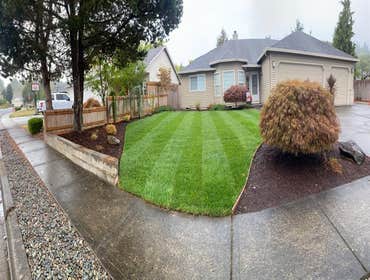 Sod installation