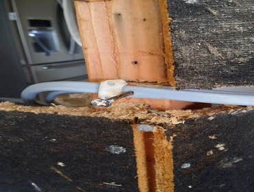 Reasons to get licenced contractors and pull permits Wires were not placed the proper distance from the sides of the studs and no nail plates.