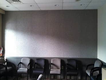 One wall, wallpaper Dr. Bucci