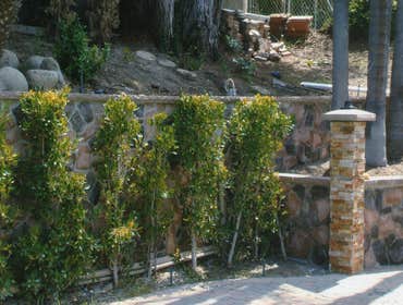 retaining wall