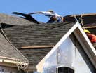 Photos from Pro Roof Systems