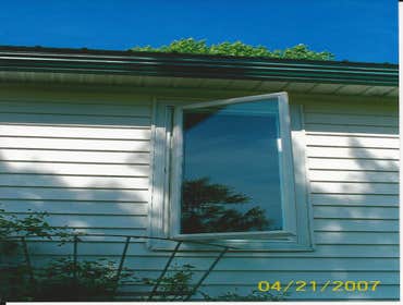 Windows