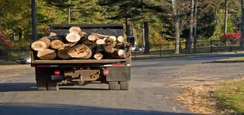 Greenwood Tree Service