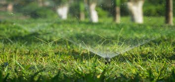 Visalia Landscaping Pros