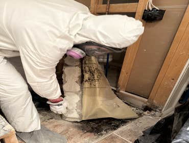 Photos by Elite Water Restoration #1